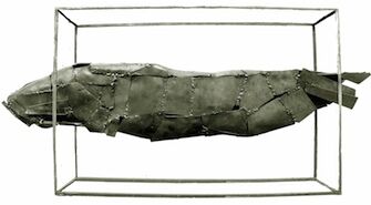 0701-eredupoisson-pic