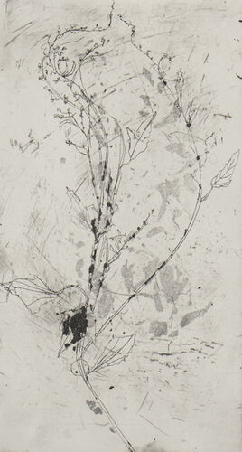 1803_aba4999-1