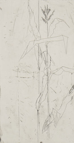 1804_aba5001-1