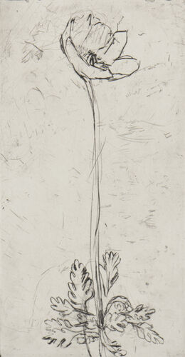 1805_aba4991-1