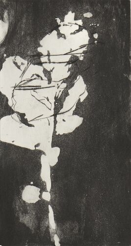 1807fragments-botaniques-acanthe_aba4995