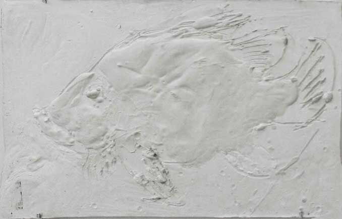 metamorphose-vers-le-blanc-ere-du-poisson